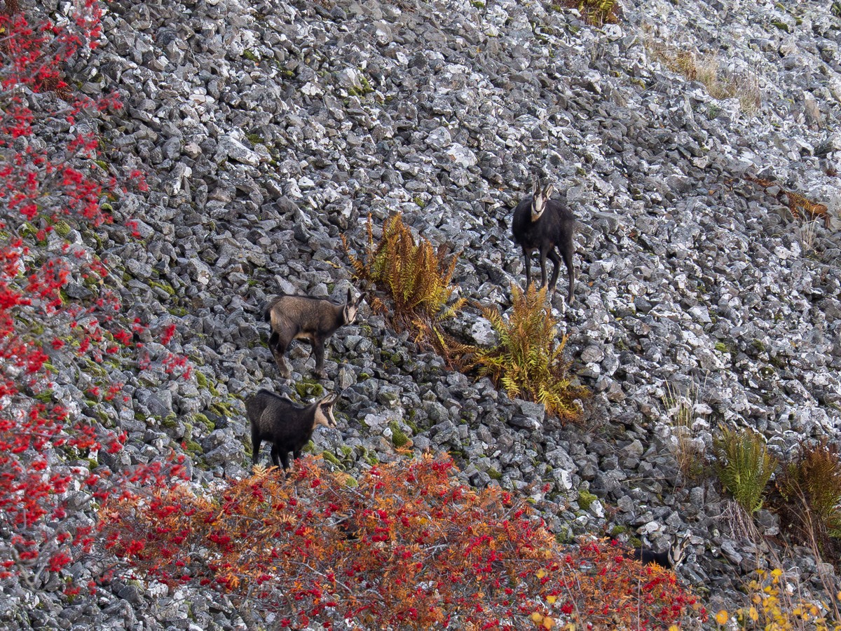 05112025-05 10 25 (4).jpg